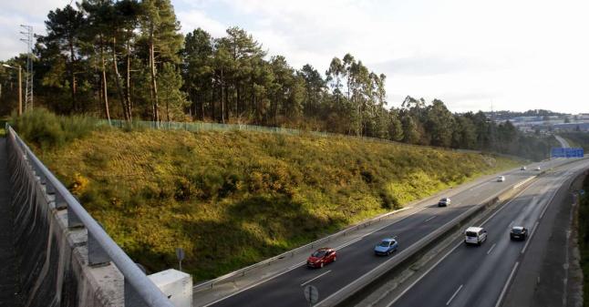 Imaxe de monte Liñeiriños afectado polo proxecto.