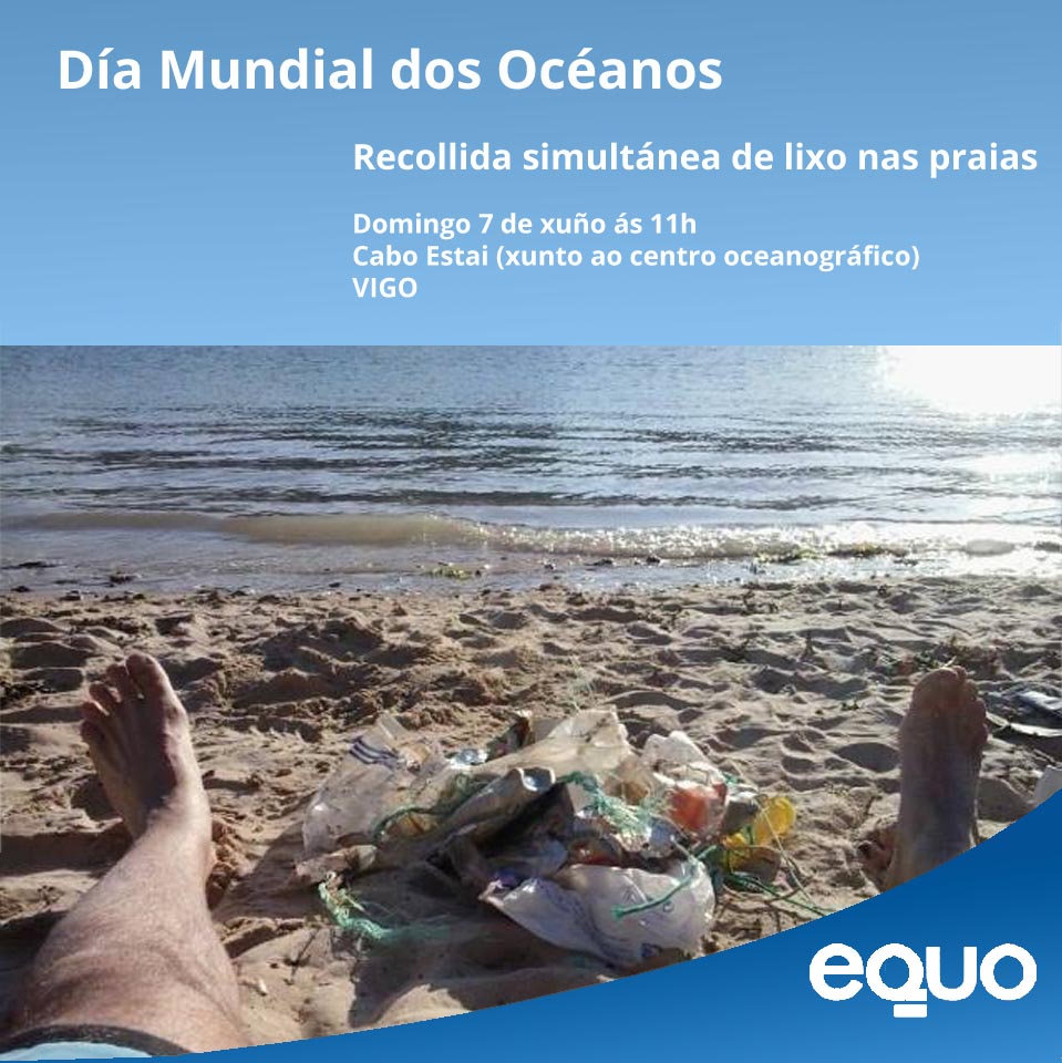 recollida lixo praia Cabo Estai 7 xuño 2015 ás 11h VIGO