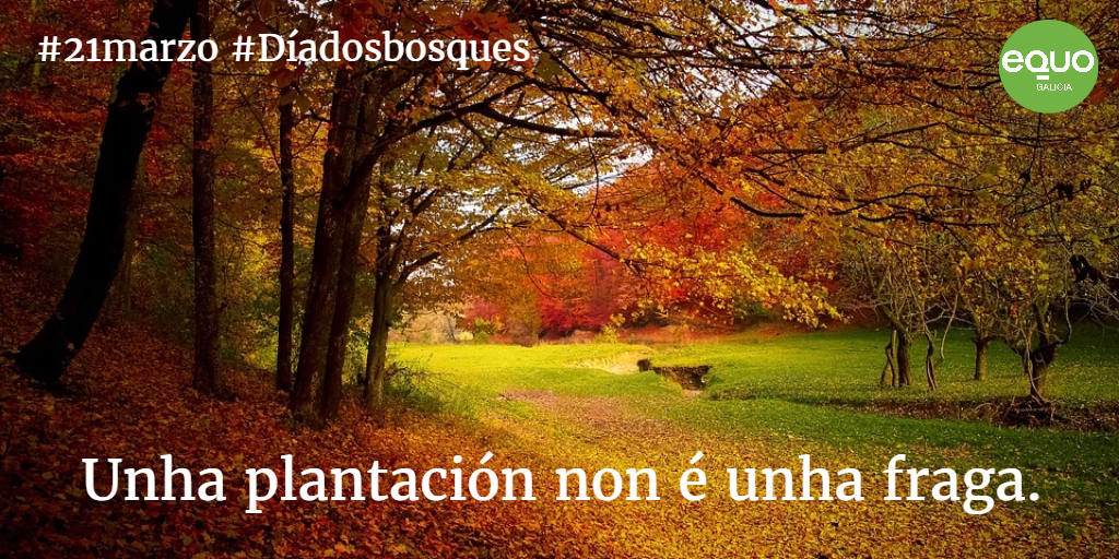 Unha plantación non é unha fraga