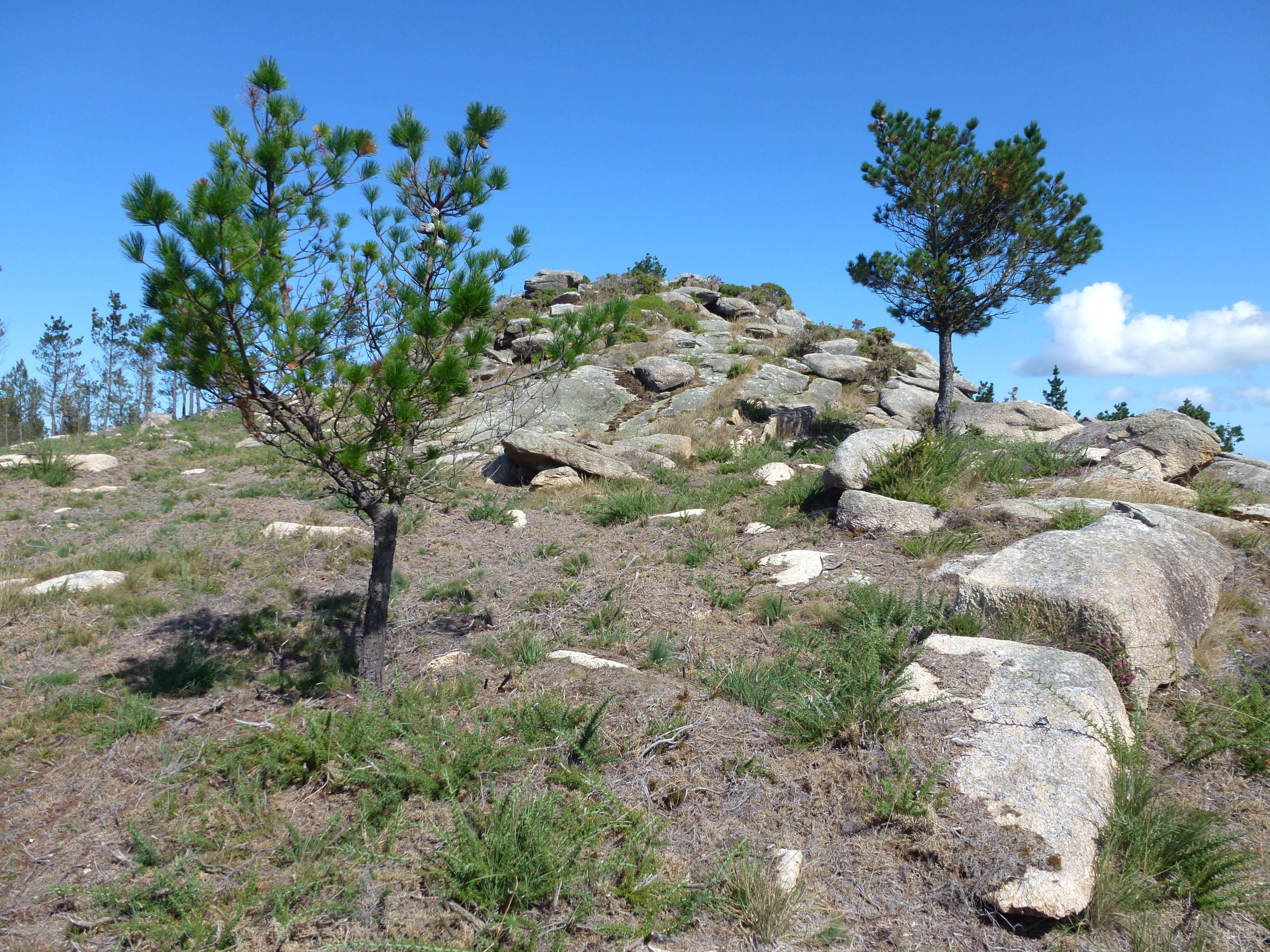 EQUO rexeita parque eólico Mouriños